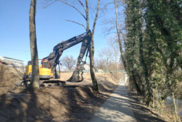 Requalification Pont du Lion site