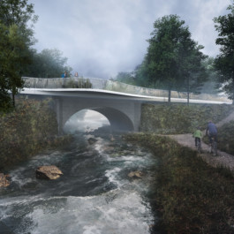 Requalification Pont du Lion render