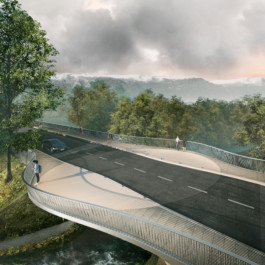 Requalification Pont du Lion render