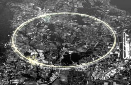 Requalification Pont du Lion site plan