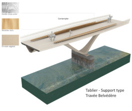 Passerelle Loire cut 1