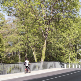 Requalification Pont du Lion