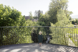 Requalification Pont du Lion balustrade